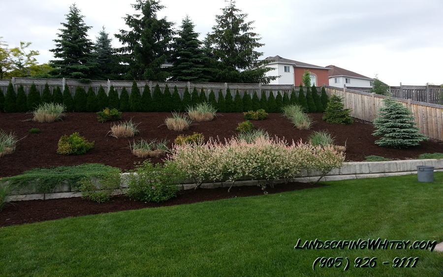 Large Garden Bed Mulch Cedars